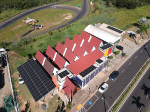 fabricacao-mudas-de-mirtilos-sp-brasil