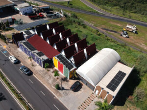 fabricacao-mudas-de-mirtilos-sp-brasil