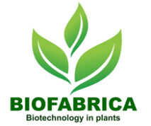 logo-biofabrica-2024-mudas-mirtilo