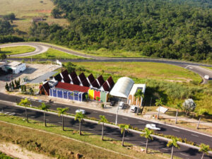 fabricacao-mudas-de-mirtilos-sp-brasil-05